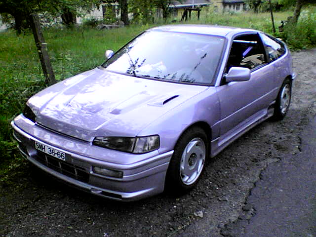Obrázek